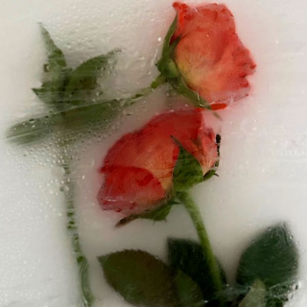Year 13 Ella 7 - Photography