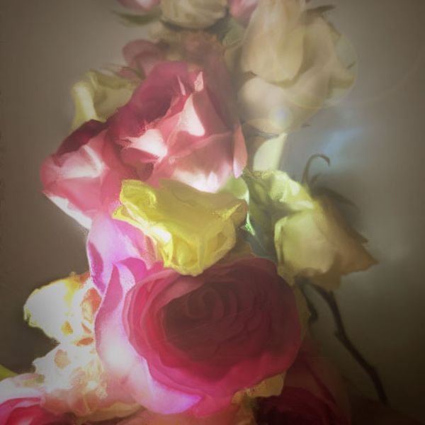 Year 13 Jasmine 5 - Photography