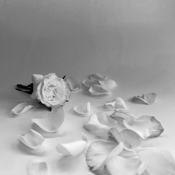 Year 13 Macy 3 - Photography