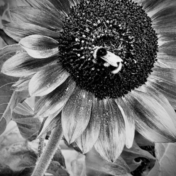 Year 12 Zara 5 - Photography