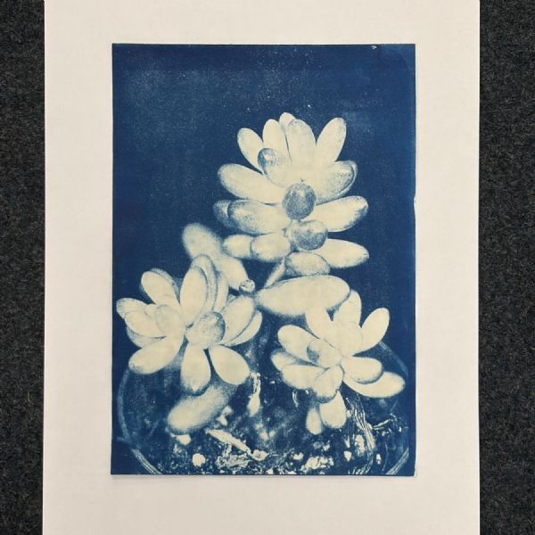 Year 13 Grace 7 - Photography