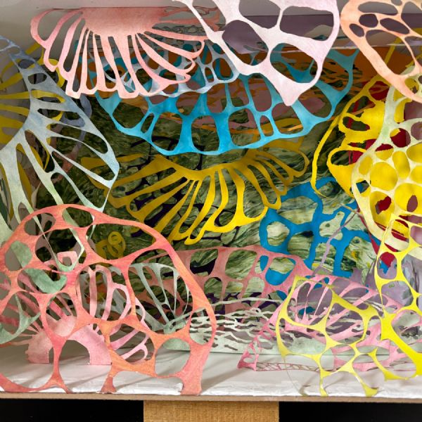 Year 13 Isana 3 - Art & Design