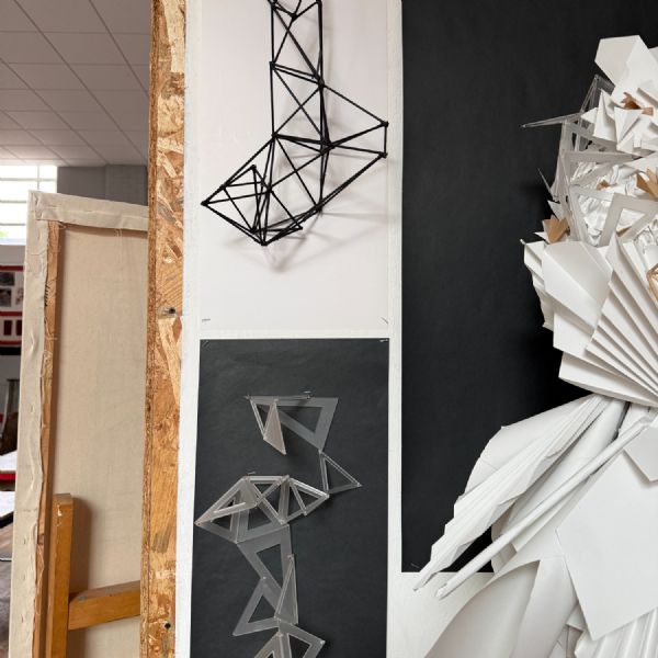 Year 13 Macy 3 - Art & Design