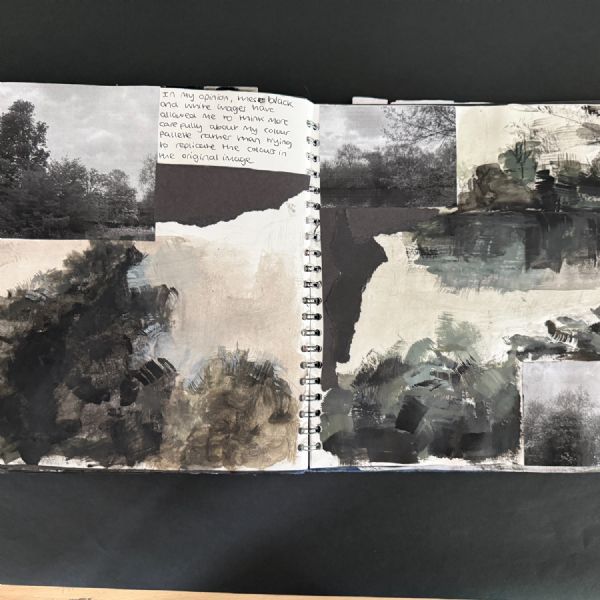 Year 13 Tali 3 - Art & Design