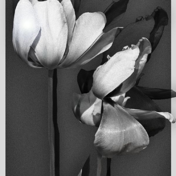 Year 13 Jasmine 6 - Photography