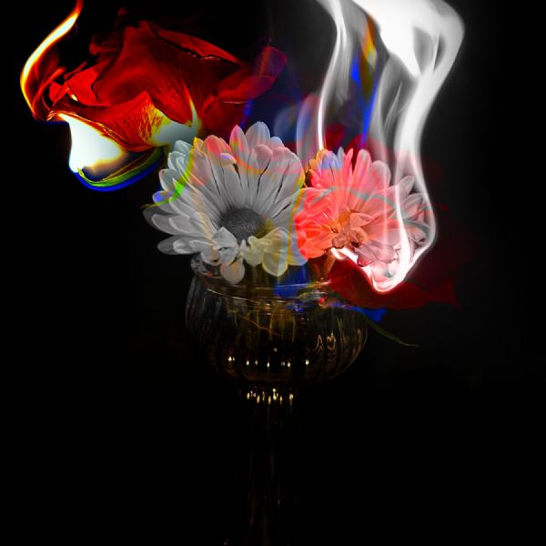 Year 13 Freya 5 - Photography