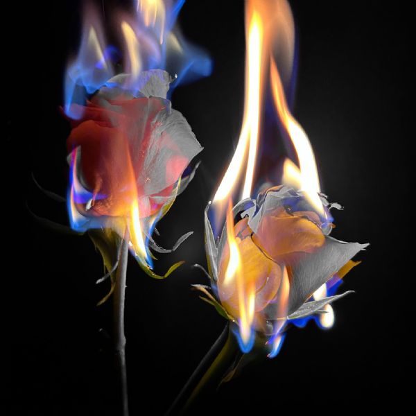 Year 13 Freya 3 - Photography