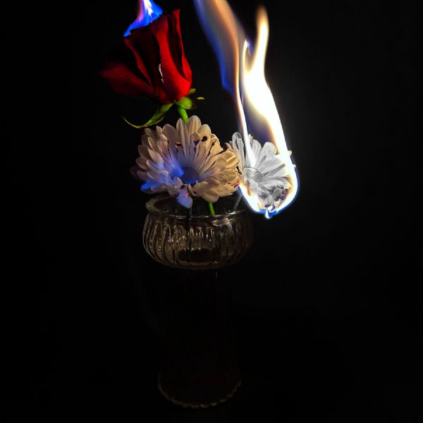 Year 13 Freya 2 - Photography